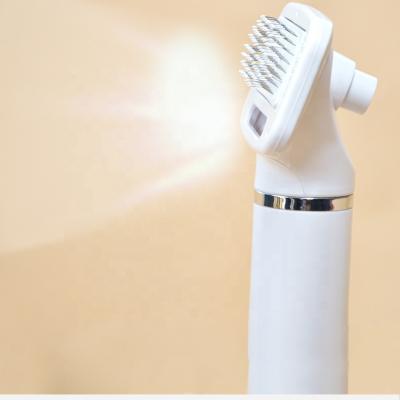 China New Arrival 2022 Stocked Wholesale 2 in 1 Pet Hair Grooming Comb Cat Hair Dryer Dog Hair Brush Fan for sale