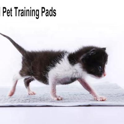 China Hot Selling Viable Pet Pee Pad 100 Pieces Disposable Pet Pad Thick Bamboo Dog Pad Dog Water Cat Deodorant Deodorant Charcoal for sale