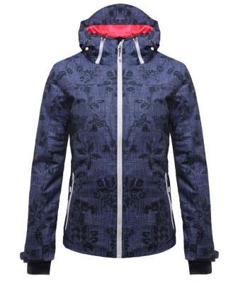 China High Quality Outdoor Snowboarding Ski Jacket For Women Hooded HC103 Of The 2020 New Style Breathable for sale