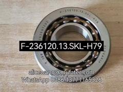 F-236120 F-236120.12.SKL-H79 BMW differential bearing special angular contact ball bearing 30.162*64