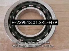 F-239513.01.SKL-H79 BMW differential side bearing double row angular contact ball bearing 41*78*17.5