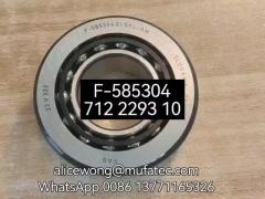 Automotive Differential Bearings