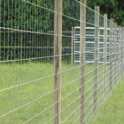 China Easily Assembled Common Hinge Field Farm Fencing Wholesale 2.5Mm 4Ft 5Ft 6Ft 8Ft Size Cheap Fence Goat Farming Grassland Field Fence for sale