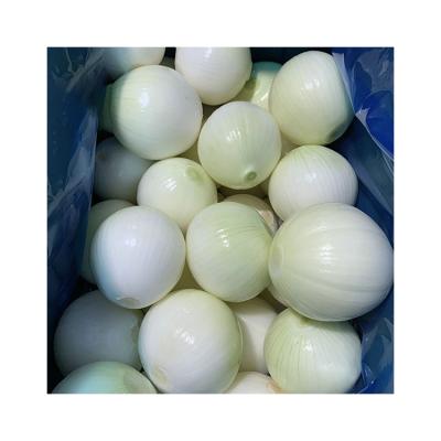 China Rich Nutrition White Onions Bulk Fresh Onions from China Fresh Vegetable Supplier for sale