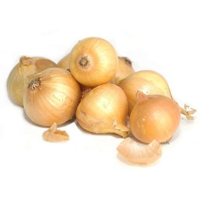 China Fresh Chinese Fresh Yellow Onion Cheap Price Red Onions Export To Korea for sale