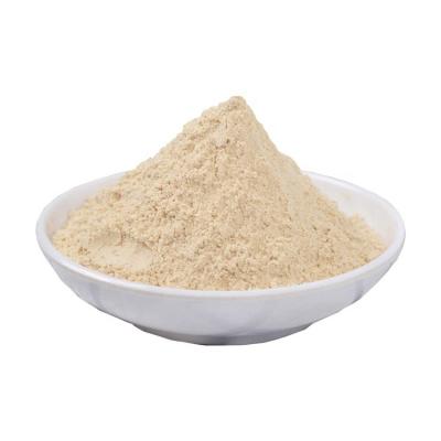 China New Dried Culture Dehydrated Garlic Powder Price AD ​​Cheap Garlic Powder For Export for sale