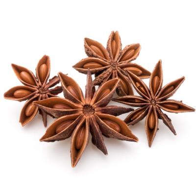 China Dry Star Anise China Origin Spices Bulk Packing Wholesale Chinese Anise For Sale for sale