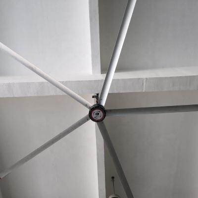 China 150 mÂ ² national factory price big donkey fan hvls industrial ceiling fan for cow farm for sale