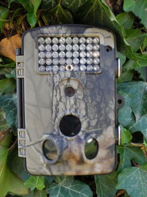 China 12 Megapixels Color CMOS 940NM Hunting Trail Cameras Waterproof IP 54 for sale