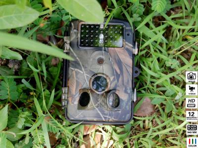 China TFT Color Display IR Flash Covert Scouting Cameras For Hunting for sale