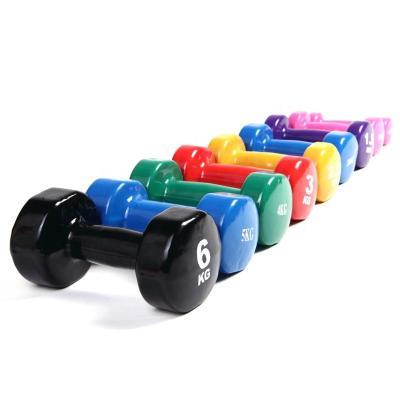 China Real Hot Sale Eco-friendly Rubber Vinyl Dumbbells Coated Dumbbell Weights Gym Fitness Hex Set Dumbbell for sale