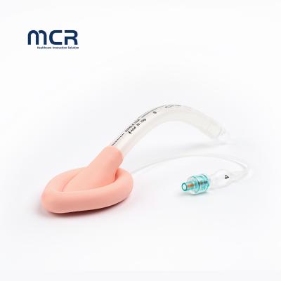 China China Medical Hot Sale Product Disposable Silicone Double Lumen Laryngeal Mask Airway Lma Anesthesia with CE ISO FDA Te koop