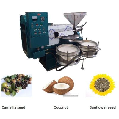 China Full Payment High Yield Sesame Peanut Soybean Screw Oil Press Machine 1600*1300*1750 mm for sale