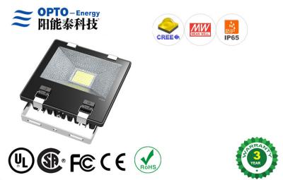 China 40pcs MeanWell Outdoor Led Flood Lights for sale