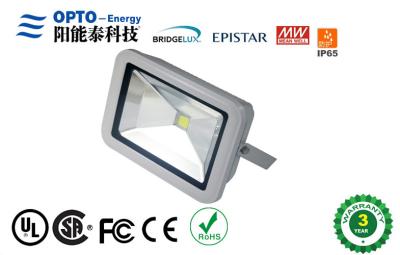 China Professional 1700lm Outdoor COB Led Flood Light Anti - Dust LED Floodlights for sale