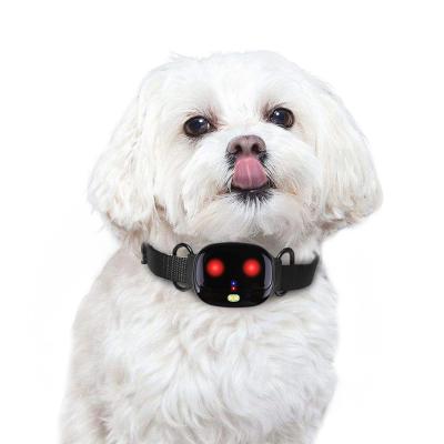 China Mini Real Time ABS Small Best Pet 4g Gps Smart Pet Activity Tracker Anti-Lost Pet Collar Gps Hunting for sale