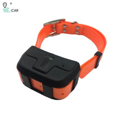 China Long Standby Collar Cat Dog Pet GPS Mini Tracker Rastreador Locator GPS 4G LTE for sale