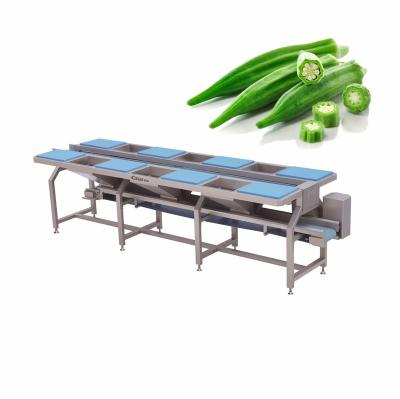 China Factory Stainless Steel Vegetable Picking Sorting Transport Picking Vegetable Cutting Table Preparation Machine for sale