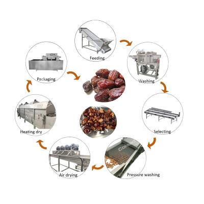 China Industrial Dates Processing Machinery Palm Date Washing Machine Dates Production Line 500-3000 KGS/HR for sale