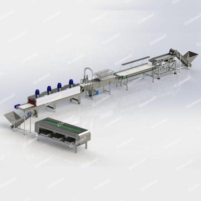 China Fruits and Dates Processing Machines Dates Cleaning and Dryer Machine Palm Dates for sale