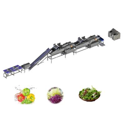 China Energy Saving 500kg Automatic Fruit And Vegetable Equipment Washing Machine Cleaning Line for sale