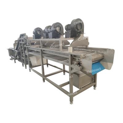 China Adjustable Speed ​​Conveyor Industrial Air Dryer Salad Vegetable Vegetable Drying Machine With Fan for sale