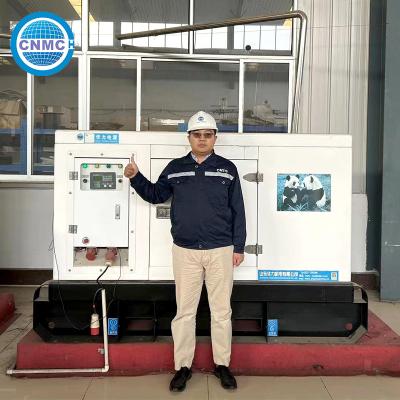 中国 実用的なジェネセット 3 段階 4 ワイヤ 50kw 電動 50kva ディーゼル発電機 販売のため