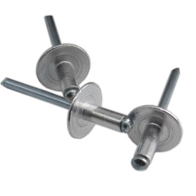 China Stainless Steel Flange Big Iron Aluminum Rivet Pop Rivets Hollow Pull Rivets for sale