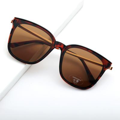 China 2021 Fashion Sunglasses Fashion Sunglasses Nylon Or TAC Hot Selling Sunglasses Polarized Sunglasses And Classic for sale