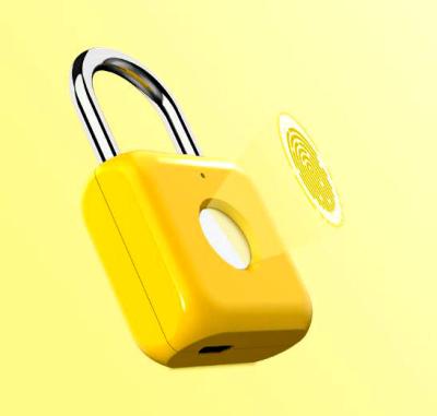 China Automatic Smart Fingerprint Padlock, Travel Luggage Bag Fingerprint Padlock, Gym Locker Lock for sale