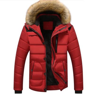 China New Design High Quality Men's Winter Viable All Climate Outdoor Sports Down Jacket for sale