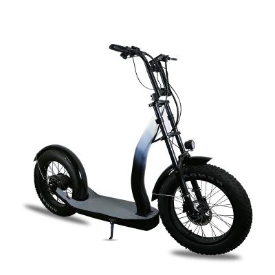 China Unisex Front 20 Rear 16 Inch Tire 350W 36V 10AH Lithium Battery Long Range LCD Display Hydraulic Disc Break Off Road Electric Scooter for sale