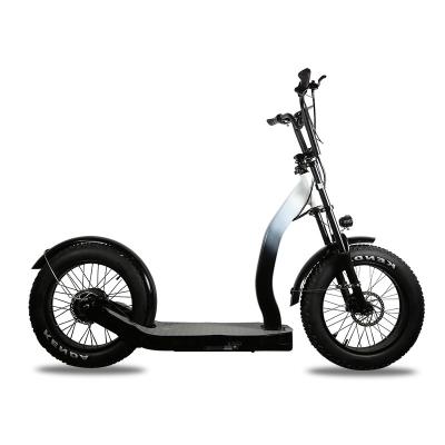 China 1000W Unisex Adult 20 Inch Tire Tire Front Shock Absorber Hydraulic Disc Cut Off City Electric 48V 13AH Lithium Battery Scooters Offroad for sale