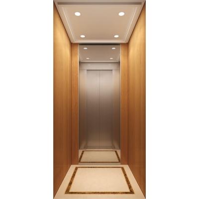 Κίνα Single Elevator Mini Residential Lift Home Villa Elevator For Home With CE προς πώληση