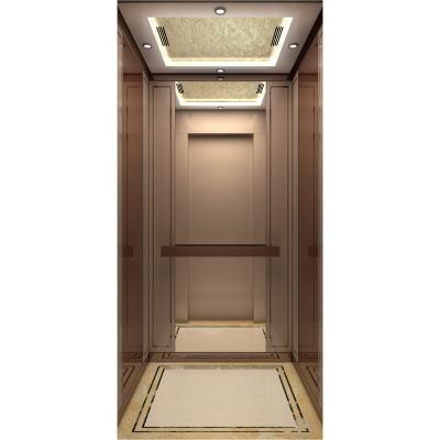 China Cheap Price High Quality Home Villa Elevator Home Elevator With Ge for sale