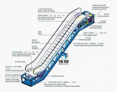 China China Factory High Quality Low Noise Escalator General Elevator for sale