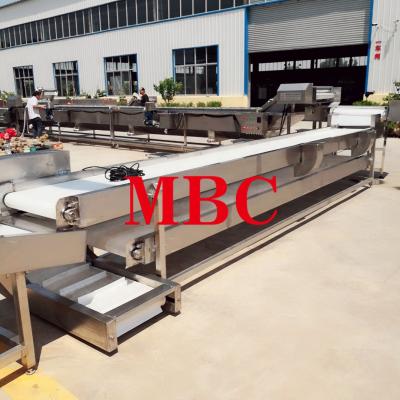 China Industrial Hotels Cucumber Washing Machine And Production Line for sale