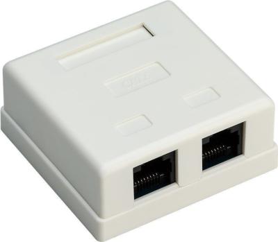 Chine Boîte de bâti de surface de l'outil RJ45 de câble Ethernet de 2 ports pour la couleur blanche non protégée de Cat6 UTP à vendre