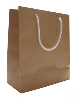 China Recycled Shopping Branded Paper Bags Gift Custom Printing OPP High End 350 GSM for sale