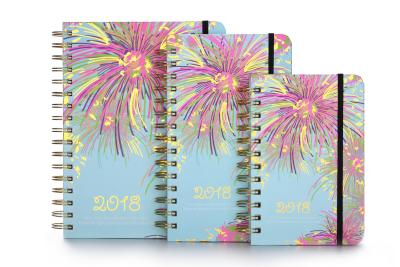 Cina grippaggio a spirale 148x210mm di Planner Book Hardcover dell'organizzatore 100gsm in vendita