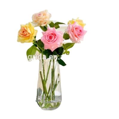 China Artistic New Design Clear Glass Vase for Flowers and Home Deco for sale