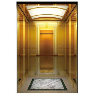 China Home Domestic Passenger Lifts Electric Stainless Steel Passenger Elevator en venta