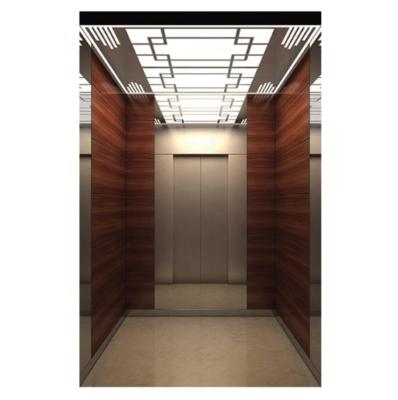 中国 Professional Residential Passenger Elevator  Economical Residential Commercial Passenger Elevator 販売のため