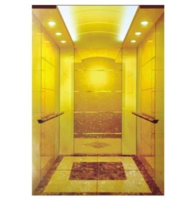 Cina FUJIHD professional Domestic Passenger Lifts Made Stainless Steel Material Residential Passenger Elevator in vendita