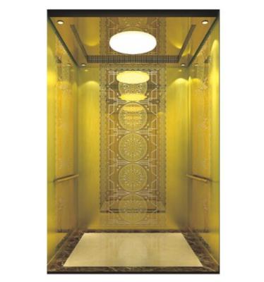 Cina FUJIHD Professional Domestic Passenger Lifts Economical Residential Commercial Passenger Elevator in vendita