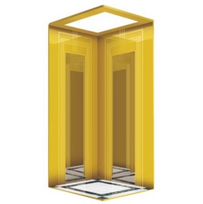 China FUJIHD Electric Home Elevator Design Small Lift Luxury Golden 320kg 450kg Home Elevator for sale