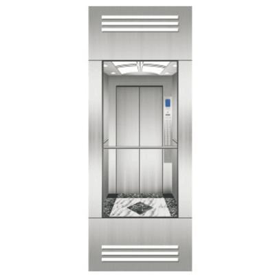 중국 Light Weight Traction Passenger Lift For Home Use Small Electric Observation Elevator 판매용