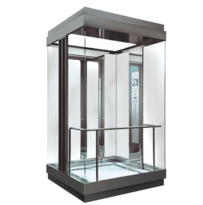 Chine Durable Traction Passenger Elevators  Panoramic Sightseeing Small Home Residential Glass Elevator à vendre