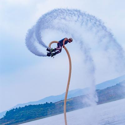 China High quality aluminum alloy freshwater fly and sea fly board for sale for sale