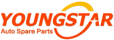 China YOUNG STAR MOTOR CO.,LTD.